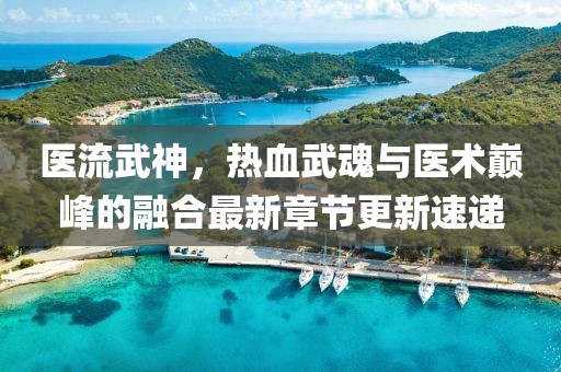 醫(yī)流武神，熱血武魂與醫(yī)術(shù)巔峰的融合最新章節(jié)更新速遞