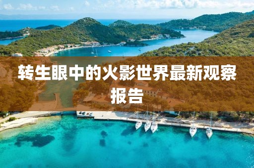 轉(zhuǎn)生眼中的火影世界最新觀察報(bào)告