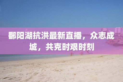 鄱陽湖抗洪最新直播，眾志成城，共克時(shí)艱時(shí)刻