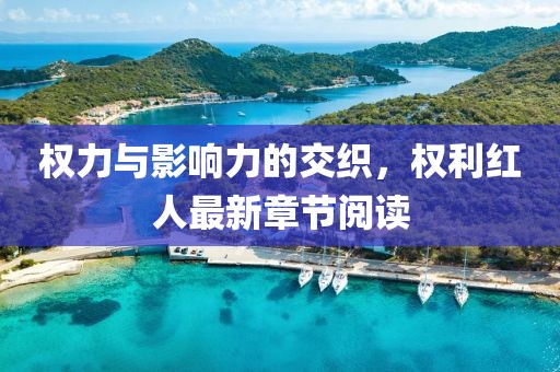 權(quán)力與影響力的交織，權(quán)利紅人最新章節(jié)閱讀