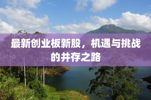 最新創(chuàng)業(yè)板新股，機(jī)遇與挑戰(zhàn)的并存之路