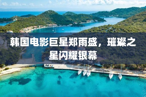 韓國(guó)電影巨星鄭雨盛，璀璨之星閃耀銀幕