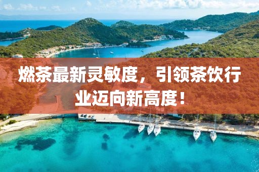 燃茶最新靈敏度，引領(lǐng)茶飲行業(yè)邁向新高度！