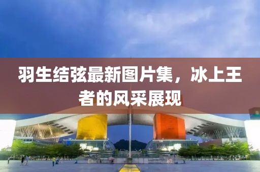 羽生結(jié)弦最新圖片集，冰上王者的風(fēng)采展現(xiàn)