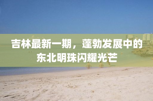 吉林最新一期，蓬勃發(fā)展中的東北明珠閃耀光芒