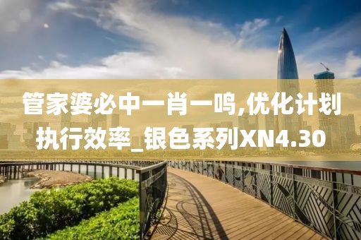 管家婆必中一肖一鳴,優(yōu)化計劃執(zhí)行效率_銀色系列XN4.30