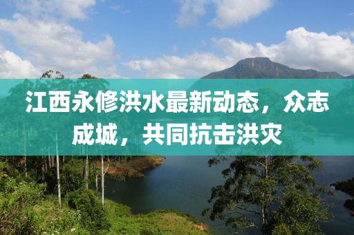 江西永修洪水最新動(dòng)態(tài)，眾志成城，共同抗擊洪災(zāi)