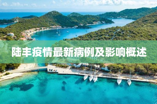陸豐疫情最新病例及影響概述