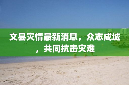文縣災(zāi)情最新消息，眾志成城，共同抗擊災(zāi)難