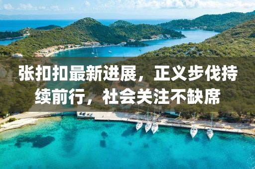 張扣扣最新進(jìn)展，正義步伐持續(xù)前行，社會(huì)關(guān)注不缺席