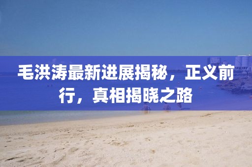 毛洪濤最新進展揭秘，正義前行，真相揭曉之路