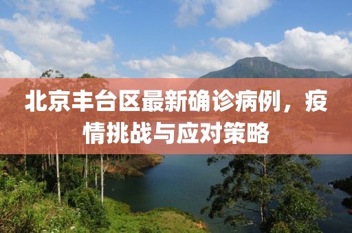 北京豐臺區(qū)最新確診病例，疫情挑戰(zhàn)與應(yīng)對策略