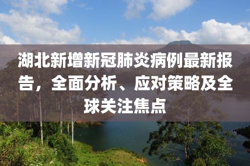 湖北新增新冠肺炎病例最新報告，全面分析、應(yīng)對策略及全球關(guān)注焦點
