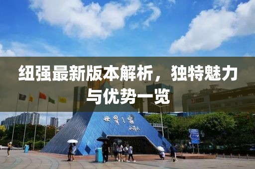 紐強最新版本解析，獨特魅力與優(yōu)勢一覽