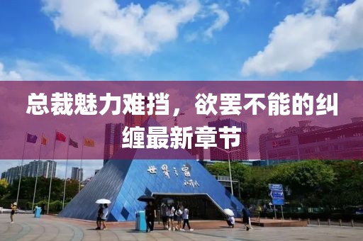 總裁魅力難擋，欲罷不能的糾纏最新章節(jié)