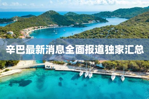 辛巴最新消息全面報道獨家匯總