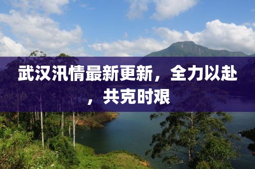 武漢汛情最新更新，全力以赴，共克時(shí)艱