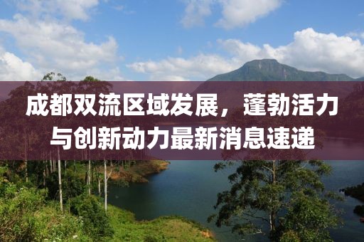 成都雙流區(qū)域發(fā)展，蓬勃活力與創(chuàng)新動(dòng)力最新消息速遞