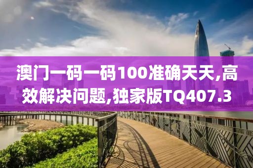 澳門一碼一碼100準確天天,高效解決問題,獨家版TQ407.3