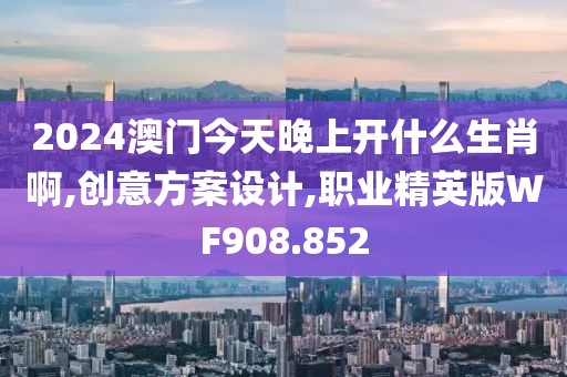 2024澳門今天晚上開什么生肖啊,創(chuàng)意方案設(shè)計,職業(yè)精英版WF908.852