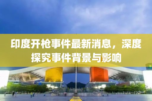 印度開槍事件最新消息，深度探究事件背景與影響