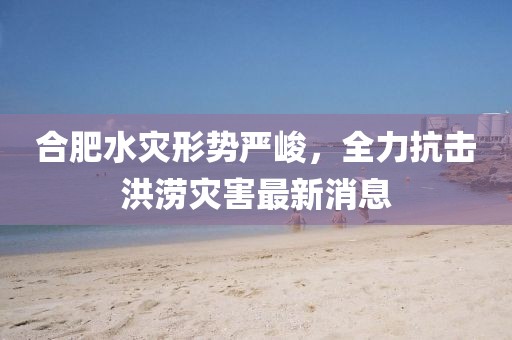 合肥水災(zāi)形勢嚴(yán)峻，全力抗擊洪澇災(zāi)害最新消息