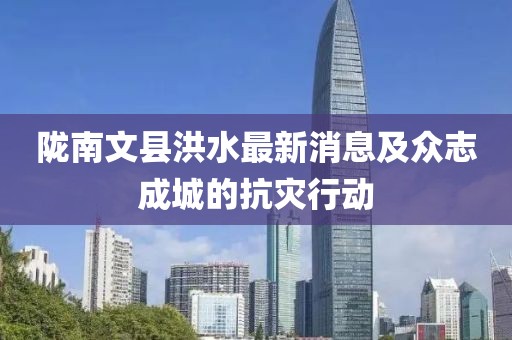 隴南文縣洪水最新消息及眾志成城的抗災(zāi)行動