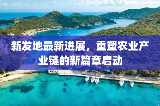 新發(fā)地最新進(jìn)展，重塑農(nóng)業(yè)產(chǎn)業(yè)鏈的新篇章啟動(dòng)