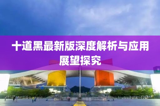 十道黑最新版深度解析與應(yīng)用展望探究