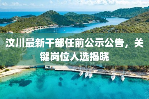 汶川最新干部任前公示公告，關(guān)鍵崗位人選揭曉
