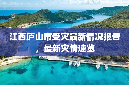 江西廬山市受災(zāi)最新情況報(bào)告，最新災(zāi)情速覽