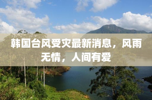 韓國臺風受災最新消息，風雨無情，人間有愛