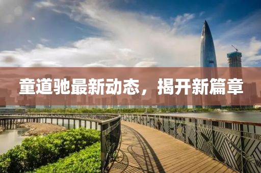 童道馳最新動態(tài)，揭開新篇章