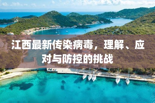 江西最新傳染病毒，理解、應(yīng)對與防控的挑戰(zhàn)