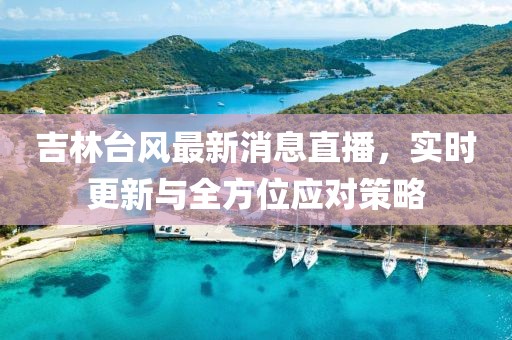 吉林臺風(fēng)最新消息直播，實時更新與全方位應(yīng)對策略