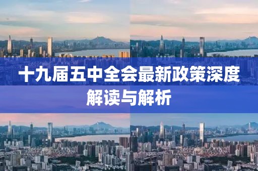 十九屆五中全會(huì)最新政策深度解讀與解析