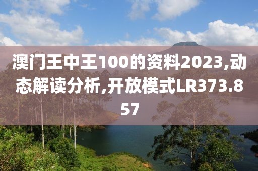 澳門王中王100的資料2023,動態(tài)解讀分析,開放模式LR373.857