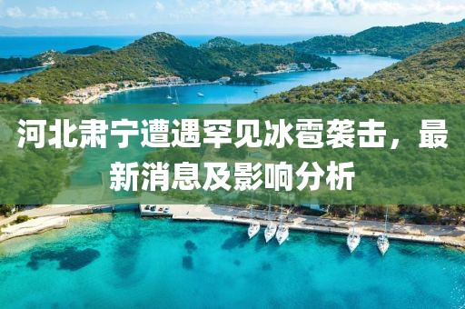河北肅寧遭遇罕見(jiàn)冰雹襲擊，最新消息及影響分析