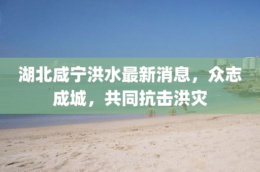 湖北咸寧洪水最新消息，眾志成城，共同抗擊洪災(zāi)