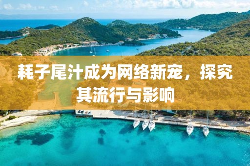 耗子尾汁成為網(wǎng)絡(luò)新寵，探究其流行與影響