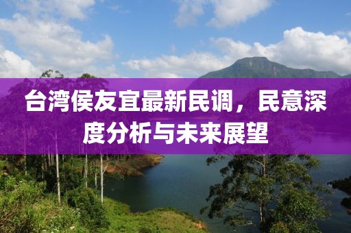 臺(tái)灣侯友宜最新民調(diào)，民意深度分析與未來展望