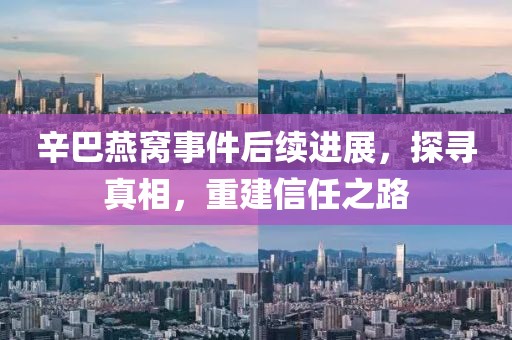 辛巴燕窩事件后續(xù)進(jìn)展，探尋真相，重建信任之路