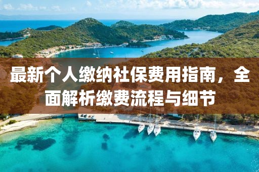 最新個(gè)人繳納社保費(fèi)用指南，全面解析繳費(fèi)流程與細(xì)節(jié)