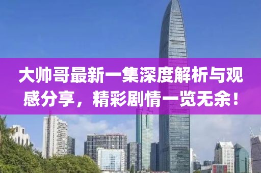 大帥哥最新一集深度解析與觀感分享，精彩劇情一覽無(wú)余！