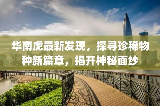 華南虎最新發(fā)現(xiàn)，探尋珍稀物種新篇章，揭開神秘面紗