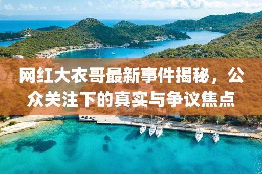 網紅大衣哥最新事件揭秘，公眾關注下的真實與爭議焦點