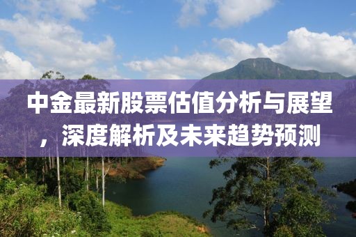 中金最新股票估值分析與展望，深度解析及未來趨勢(shì)預(yù)測(cè)