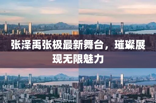 張澤禹張極最新舞臺，璀璨展現(xiàn)無限魅力