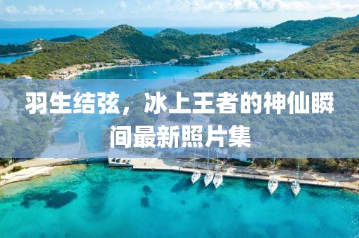 羽生結(jié)弦，冰上王者的神仙瞬間最新照片集