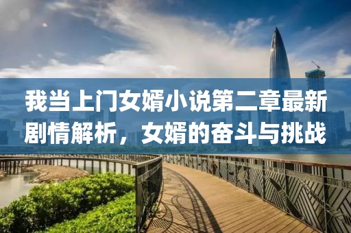 我當(dāng)上門女婿小說第二章最新劇情解析，女婿的奮斗與挑戰(zhàn)